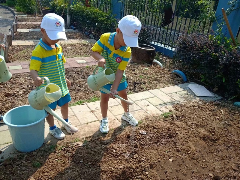 幼儿园小农场设计